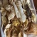 菌汤包云南野生特产羊肚菌营养菌菇包煲汤食材菌类汤料干货
