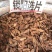 内蒙阿拉善金锁阳条，泡酒料男性滋补泡茶滋补中草药