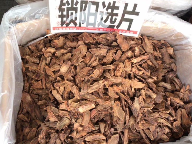 内蒙阿拉善金锁阳条，泡酒料男性滋补泡茶滋补中草药