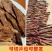 内蒙阿拉善金锁阳条，泡酒料男性滋补泡茶滋补中草药