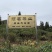六堡茶小样（5份装）