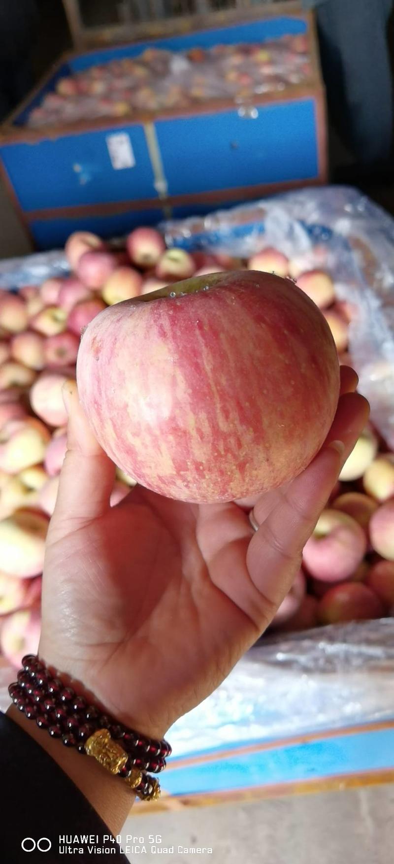 山东条纹苹果沂源冷库红富士苹果，片红，货源充足支持全国发