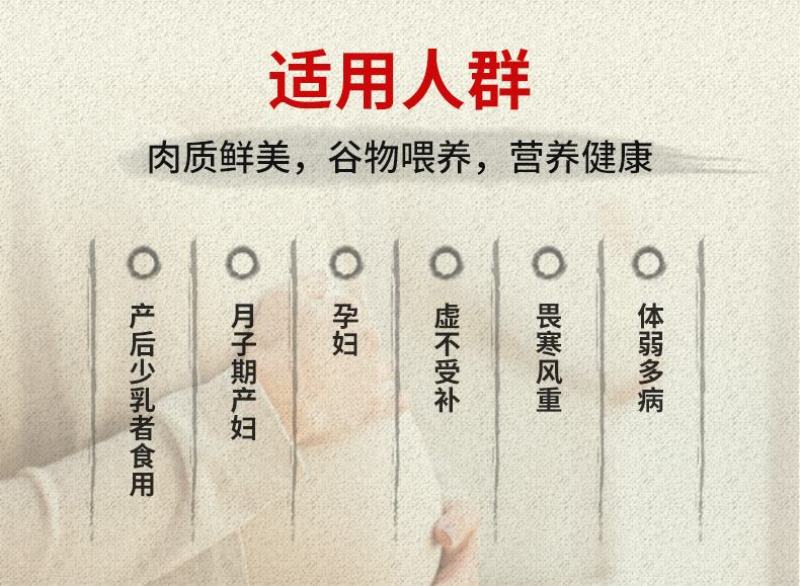 土鸡老母鸡散养土鸡农家散养笨鸡走地鸡2年母鸡