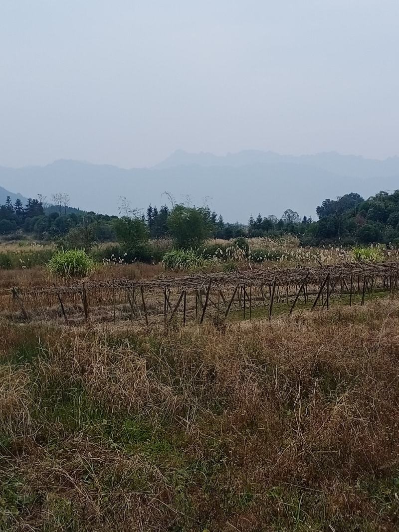 前三台后三台的宝地。有意者。电话，出官员