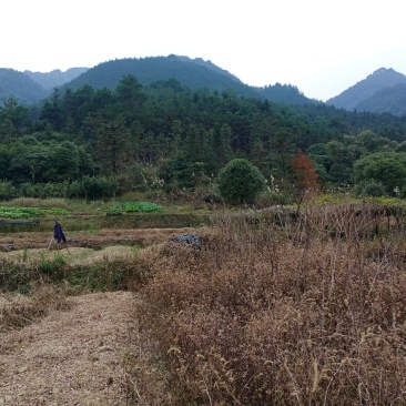 前三台后三台的宝地。有意者。电话，出官员