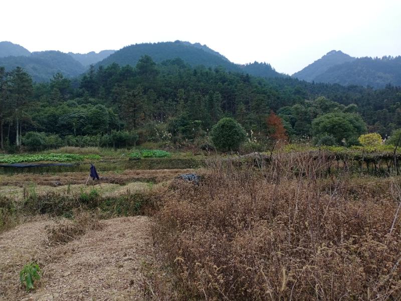前三台后三台的宝地。有意者。电话，出官员
