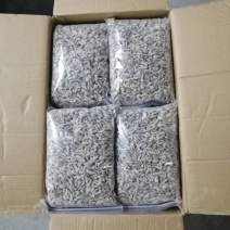 去枪单冻河虾/观赏鱼，养殖乌龟，娃娃鱼等食料