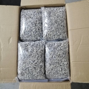 去枪单冻河虾/观赏鱼，养殖乌龟，娃娃鱼等食料