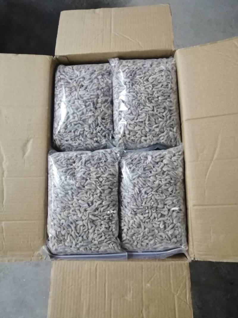去枪单冻河虾/观赏鱼，养殖乌龟，娃娃鱼等食料