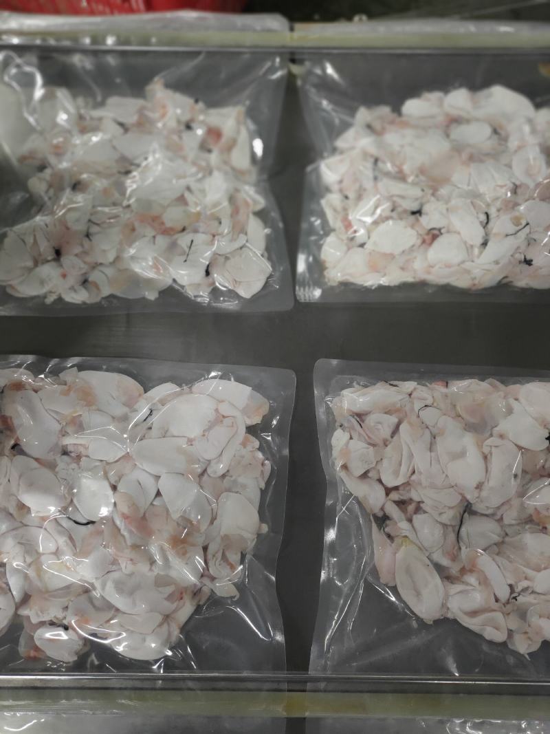 鲜白鲢鱼泡真空2斤装鱼肚工厂直发货源稳定供酒店