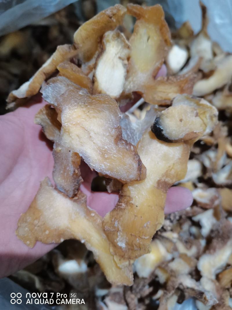 黄精片贵州无流黄精片大货供应