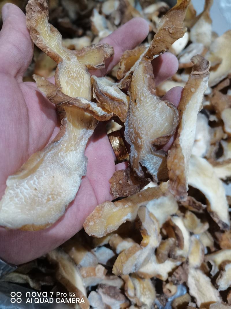 黄精片贵州无流黄精片大货供应