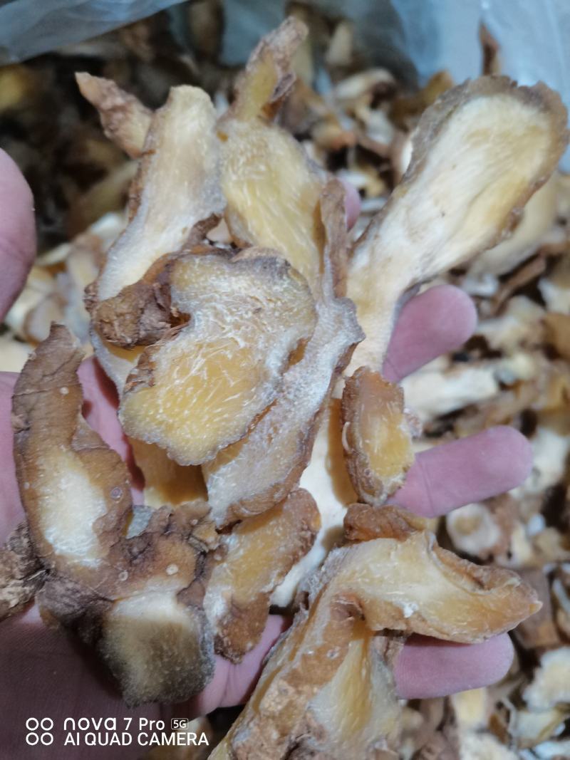 黄精片贵州无流黄精片大货供应