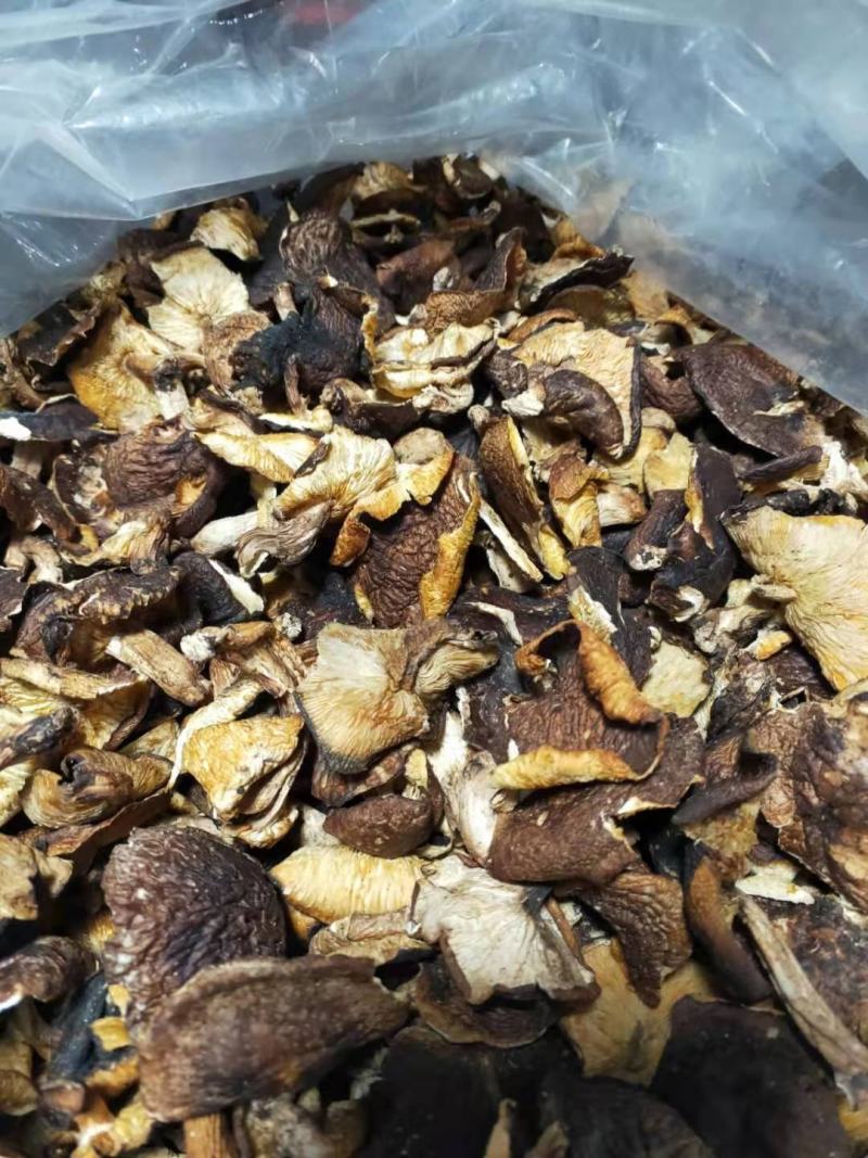 野生香菇干广西深山老林正宗野生香菇干香茹冬菇花菇营养菌菇