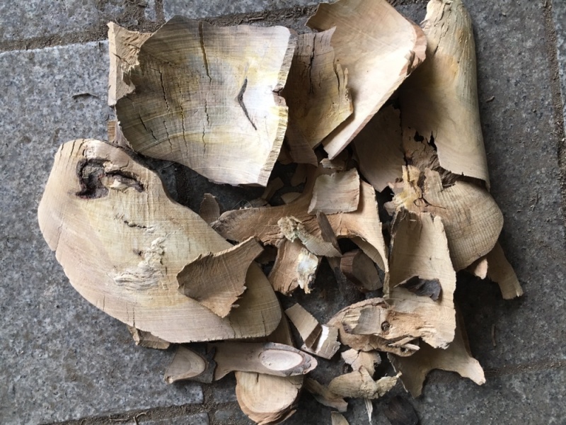 毛冬青根部生切货毛冬青中药材毛冬青