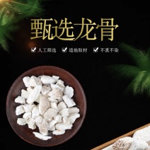 龙骨矿石生龙骨干货（包邮）500g