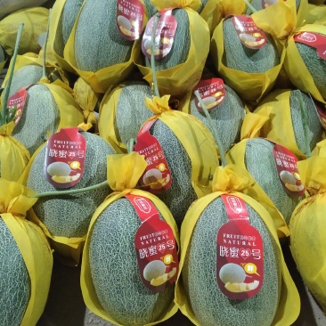 哈密瓜海南精品小密二十五号