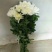 海南优质白黄菊花鲜花种植基地，菊花50～80cm大量上市