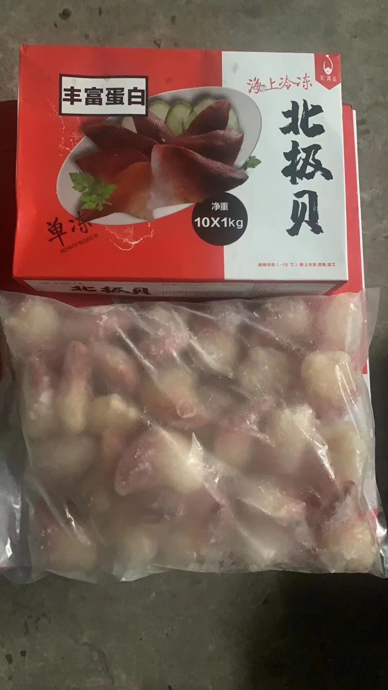 加拿大北极贝规格齐全工厂直销批发，全部各地可发货