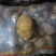 希森六号，黄皮黄肉，最主要耐劳