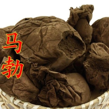 振兴药材批发供应马勃产地直销价现货批发