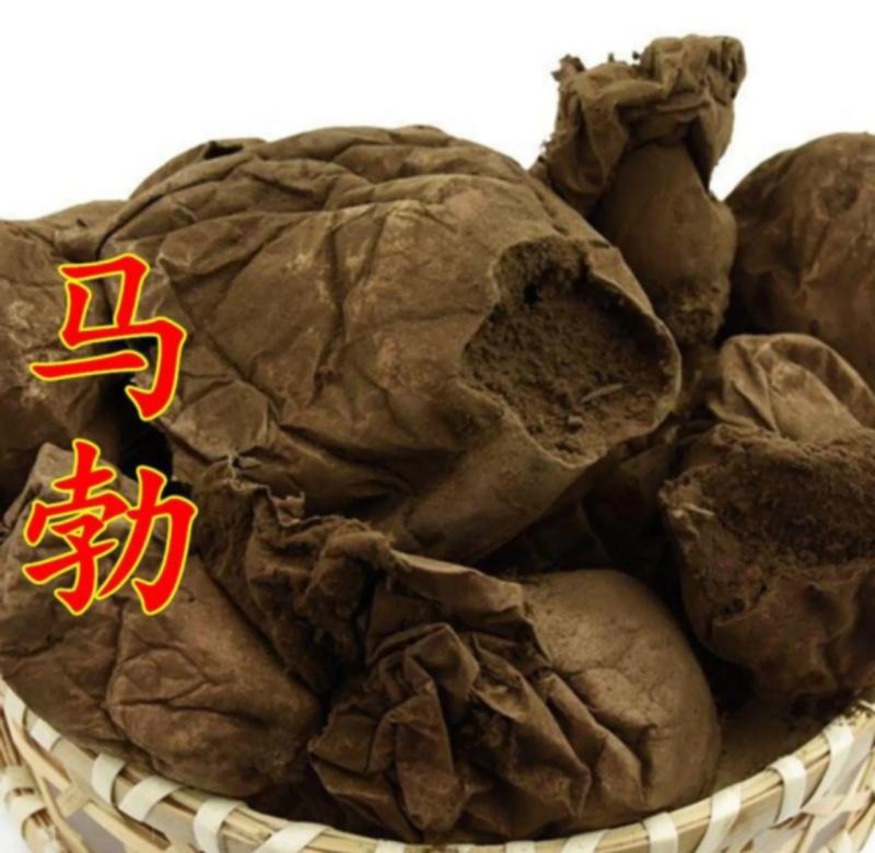振兴药材批发供应马勃产地直销价现货批发