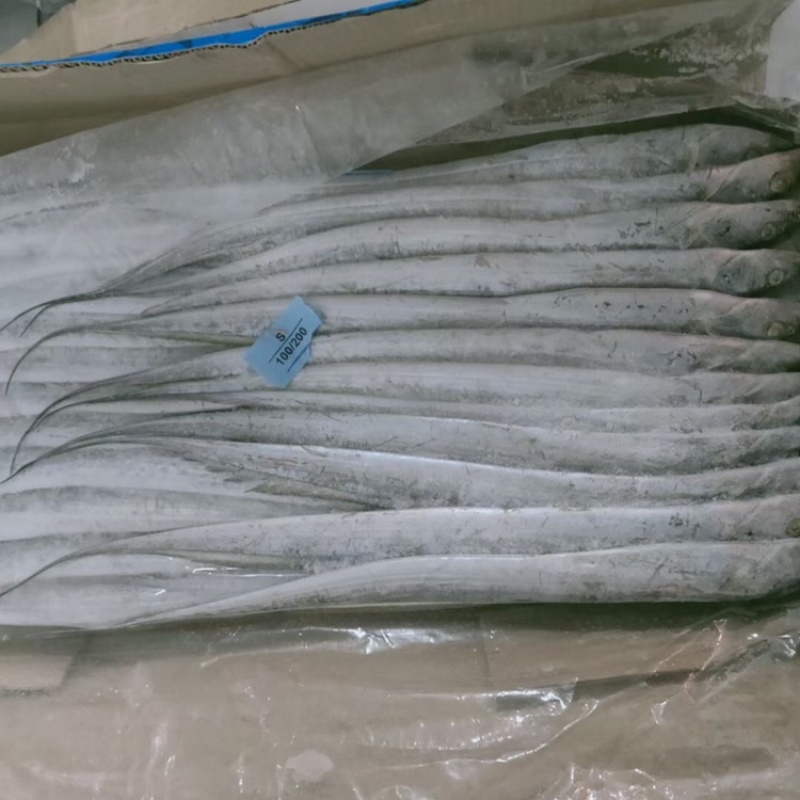 带鱼质量好，价格低，手续齐全，大量批发对接全国市场发货