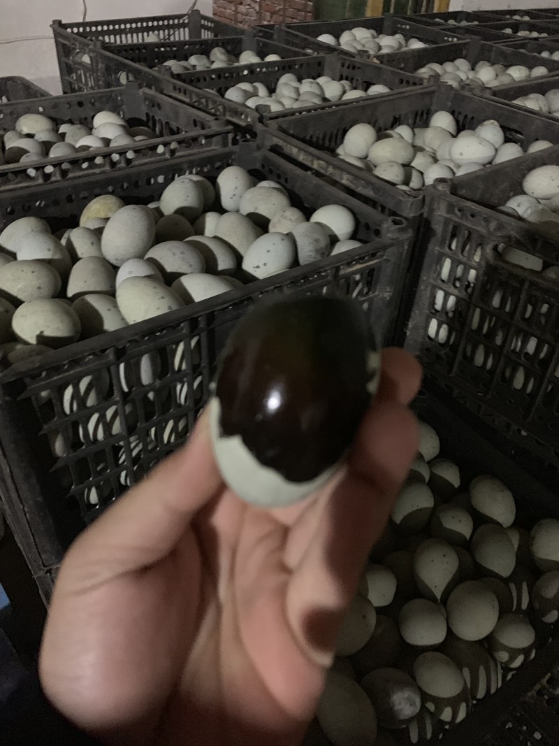 皮蛋松花蛋厂家直销一手货源，大量出售欢迎各位电话咨询
