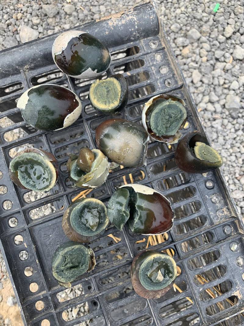 皮蛋松花蛋厂家直销一手货源，大量出售欢迎各位电话咨询