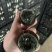 精品松花皮蛋全国各地发货质量保证，皮蛋绝杀