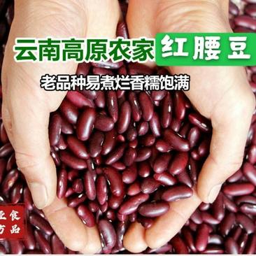 云南红豆红腰豆5斤农家自产红芸豆