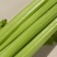 西芹种子四季蔬菜种子高产阳台庭院菜园盆栽小香芹芹菜种籽