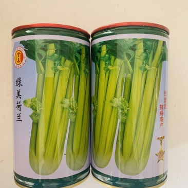 西芹种子四季蔬菜种子高产阳台庭院菜园盆栽小香芹芹菜种籽