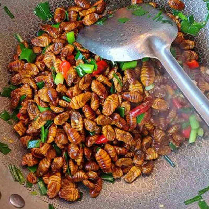 山东蚕蛹新鲜蛹茧子鲜活速冻桑蛋蛹