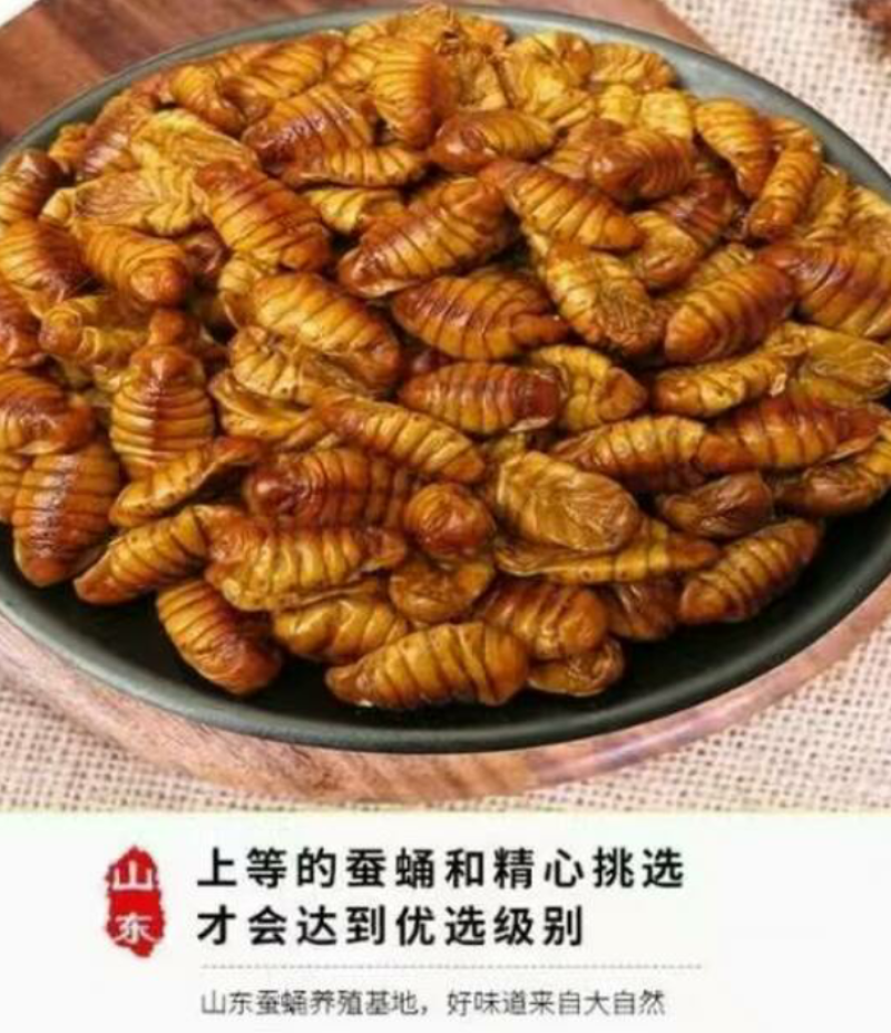 山东蚕蛹新鲜蛹茧子鲜活速冻桑蛋蛹