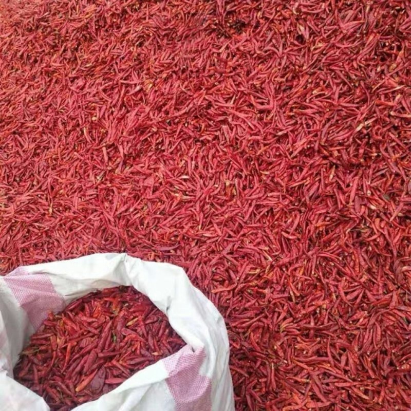 干辣椒特辣红辣椒朝天米辣段粉椒