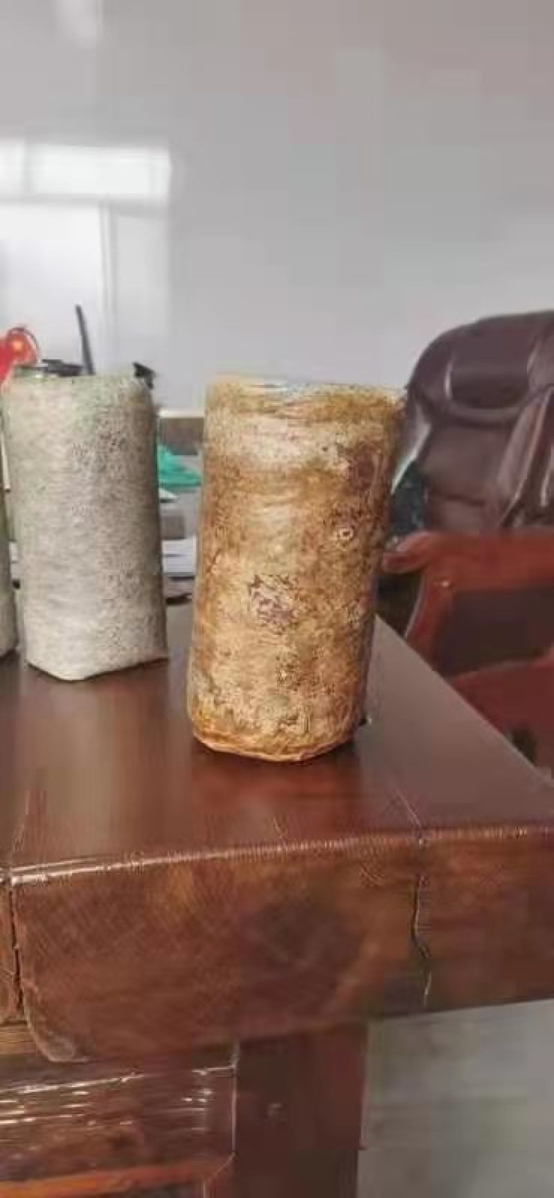 桑黄菌种西峡县科达菌种厂桑黄种植基地桑黄菌种菌包