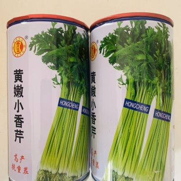 芹菜种子四季小香芹种籽山芹青菜籽春秋冬季农家盆栽阳台蔬菜
