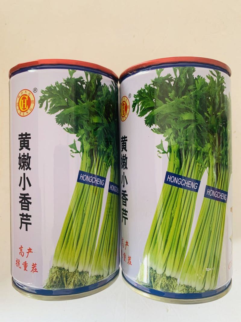 芹菜种子四季小香芹种籽山芹青菜籽春秋冬季农家盆栽阳台蔬菜