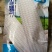雪糯77玉米种肥大棒品质佳糯性强带甜味