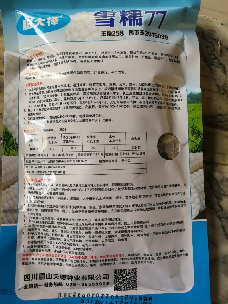 雪糯77玉米种肥大棒品质佳糯性强带甜味