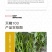 中科椒迈天椒103辣椒，条长40厘米，抗病能力，辣味浓连