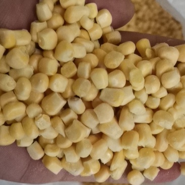 903甜玉米粒，颗粒饱满。欢迎老板来购