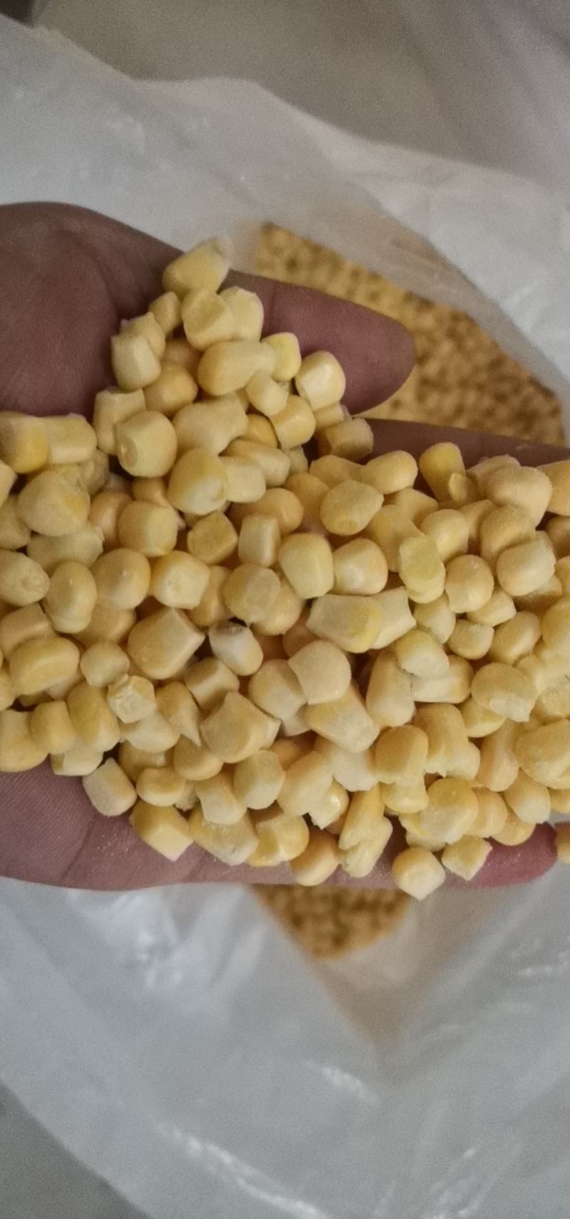 903甜玉米粒，颗粒饱满。欢迎老板来购