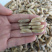 树蜂蛹3级，现货，七里蛹，黄脚蛹，熟冻，葫芦蜂3级蛹