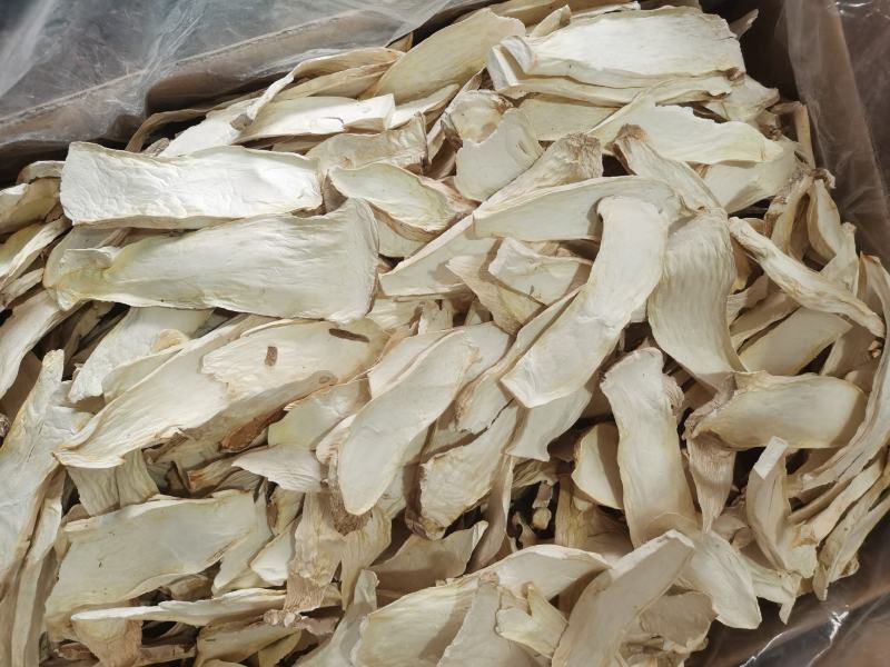 杏鲍菇大量批发量大从优保质保量欢迎各位老板来店选购