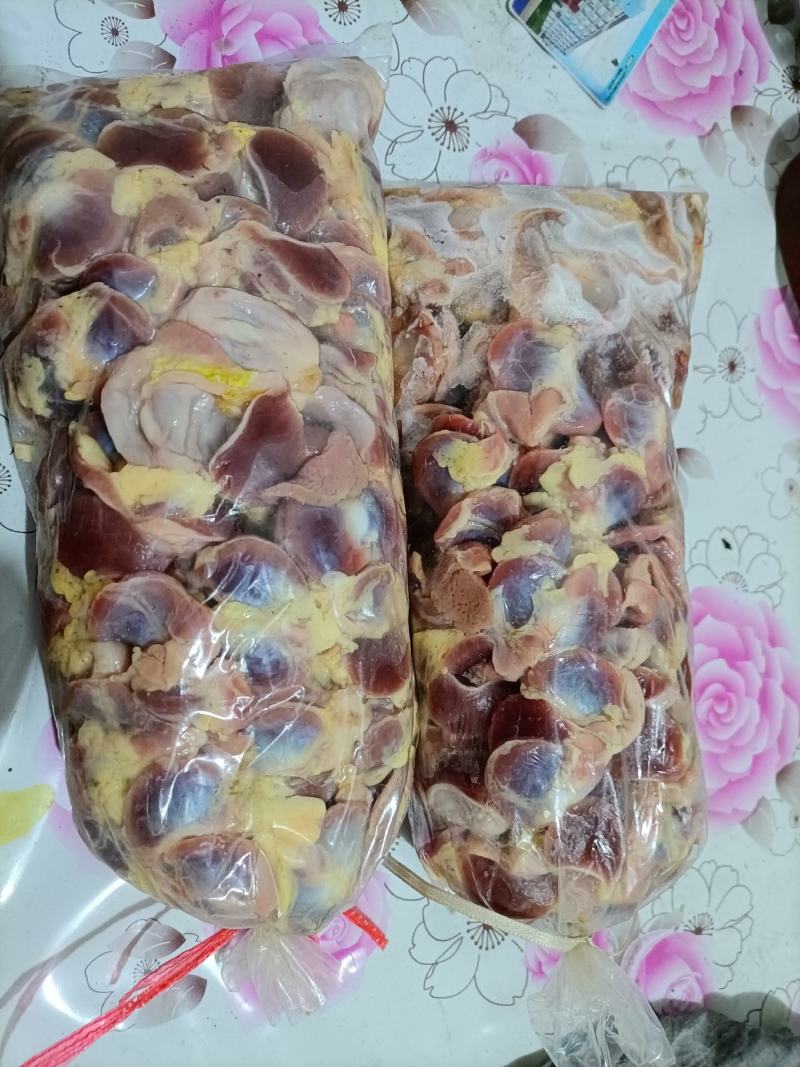 肉鸽子，各种鸽子内脏，鸽胗新鲜保存，现货，货源充足全国发