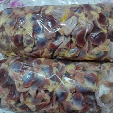 肉鸽子，各种鸽子内脏，鸽胗新鲜保存，现货，货源充足全国发