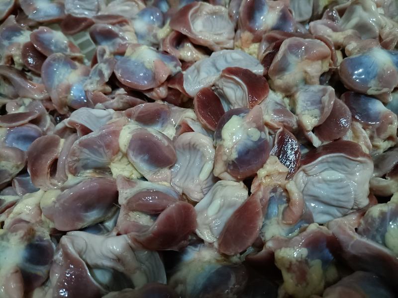 肉鸽子，各种鸽子内脏，鸽胗新鲜保存，现货，货源充足全国发