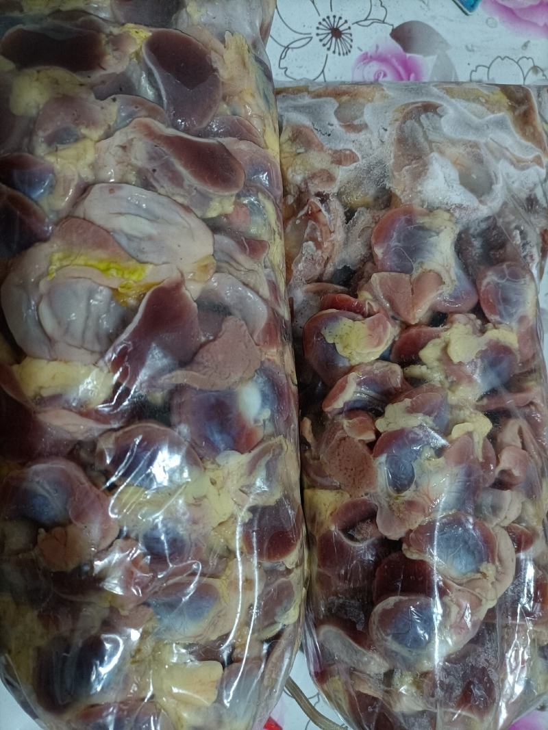 肉鸽子，各种鸽子内脏，鸽胗新鲜保存，现货，货源充足全国发